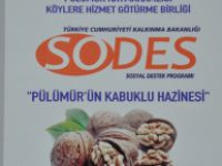 “Pülümür’ün Kabuklu Hazinesi” projesi hayata geçiriliyor