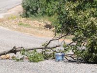 Tunceli-Erzincan karayolunda bomba tuzağı