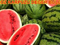 Hıdıroz Karpuzu Değer Buluyor