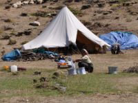 TUNCELİ'DE GÖÇERLER YAYLALARDAN DÖNÜŞE GEÇTİ