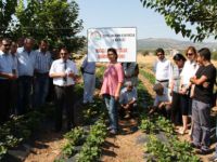 Aktuluk Köyünde tarla günü düzenlendi