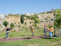 Gole Çeto Parkında Bakım ve Onarım