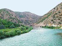 Dersim ormanlarına orantılı güç!