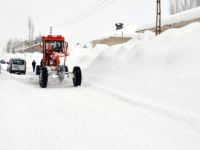 Ovacık'ta Beyaz Esaret