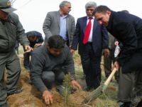 Çemişgezek’te ağaçlandırma seferberliği devam ediyor