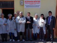 Şapkalı mantarlar Tuncelili kadınlar için umut oldu