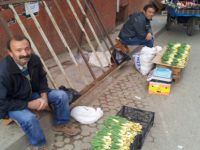 İşsizlerin ekmek kapısı Gulik, pazara indi