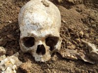 Tunceli'de İnsan Kemikleri Bulundu