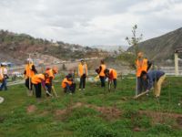 Bahar Çalışmaları Başladı