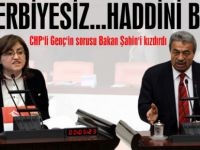 Kamer Genç'in sorusu Bakan Şahin’i  kızdırdı