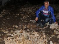 Yakınlarının kemiklerine 76 yıl sonra ulaşılabildi
