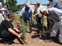 Toprak Haftası Etkinlikleri devam ediyor