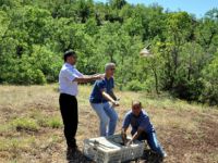 Tunceli'de Doğaya 400 Keklik Bırakıldı