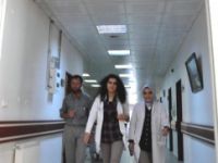 Kene Isırması Sonucu Bir Kişi Hayatını Kaybetti