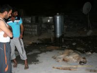 Kuduz Köpek, 6 Kişiyi Hastanelik Etti