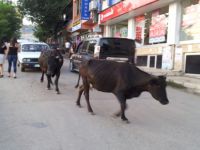 İl Trafik Komisyonunun dikkatine!