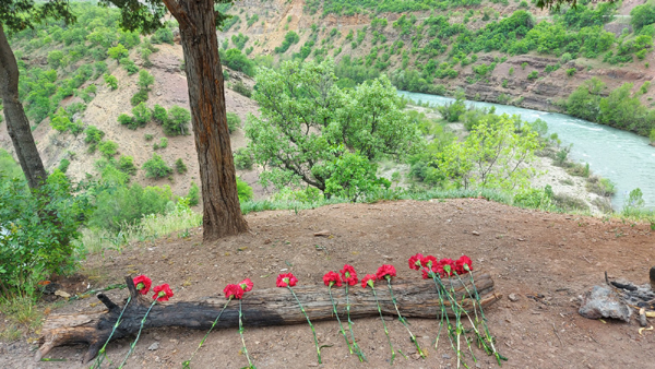 baskan-macoglu,-dersim-katliaminda-hayatini-kaybedenleri-andi-(2).jpg