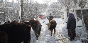 dersim-kara-teslim-(6).jpg