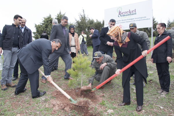 erdogan-cifti-icin-bereket-ormani-olusturuldu-(2).jpg