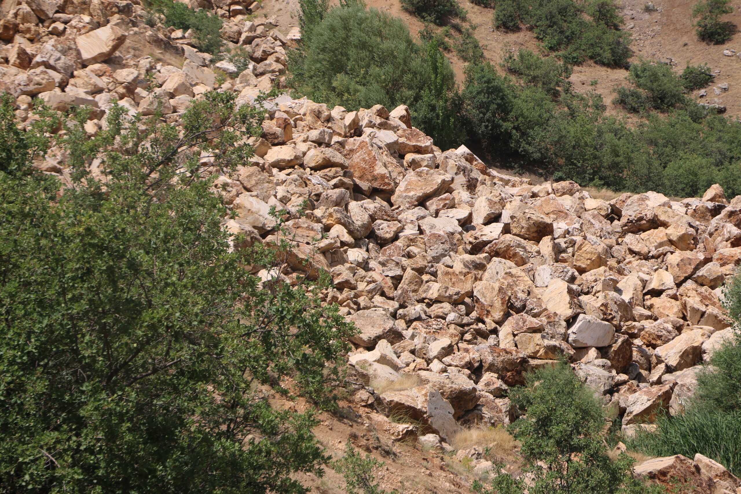 harikliler-(4).jpg