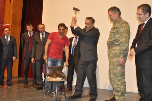 nevruz-bayrami-(6).jpg