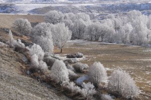 ovacikta-kartpostallik-goruntu-(14).jpg