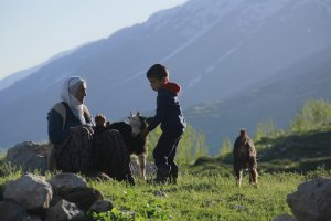 ovacikta-oglaklar-merayla-bulustu-(7).jpg