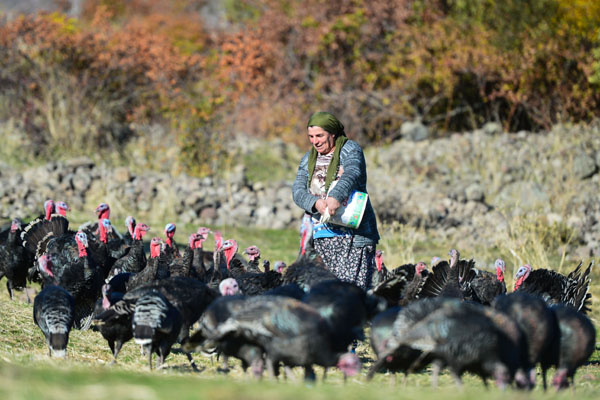 sehir-hayatini-terk-eden-anne-ogul-(8).jpg