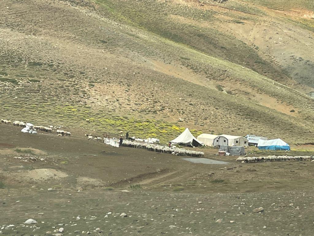 suru-sahipleri-meralara-sahip-cikti-(5).jpg