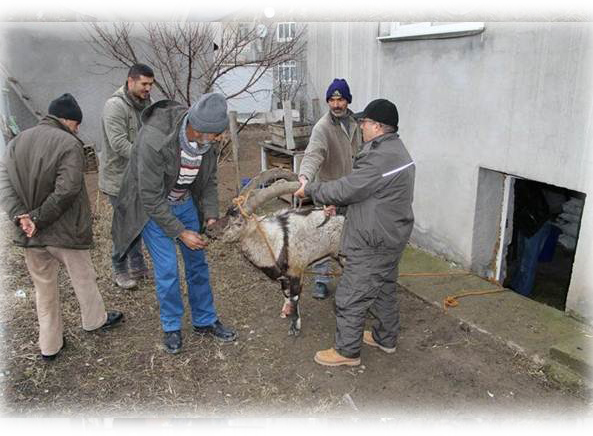 untitled-3-copy.jpg