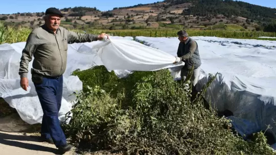 Üreticinin kırağı korkusu naylon gerdirdi