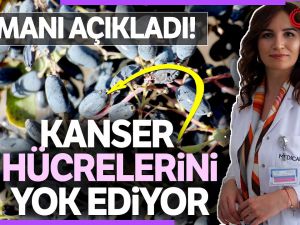 Diyetisyen Cansu Arslan: "Bin yıldır kullanılan karamuk bitkisi kanser hücrelerini yok ediyor"