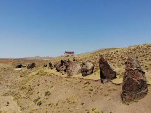 Asırlık 'Nemrut Develeri' yok olma tehlikesiyle karşı karşıya