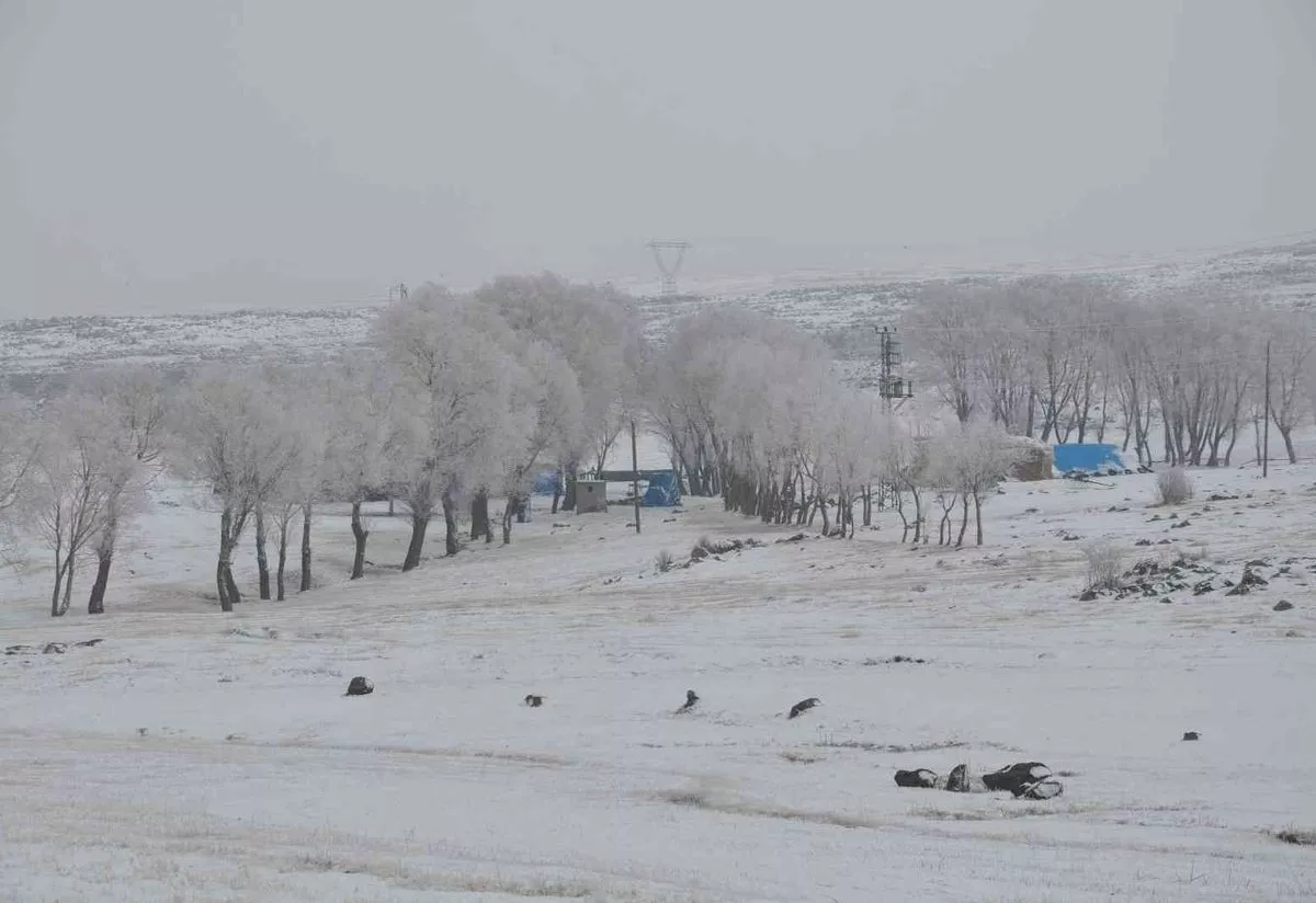 Kars'ta Lavaşın Gölü buz tuttu