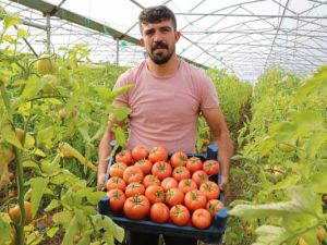 Şehir hayatını bırakıp köyünde sera kurdu