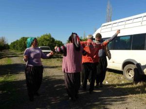 Güle oynaya mandalina hasadı yaptılar