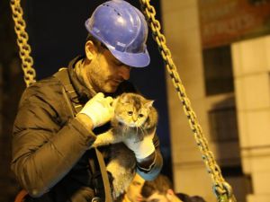 Bina enkazının yıkımı durduruldu, 'Zena' isimli kedi kurtarıldı