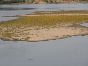 Meriç Nehri'nde kuraklık alarmı