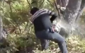 Yavru Ayıyı Kurtarma Operasyonu