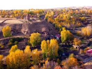 Tarihi şehir Ahlat'ta sonbahar manzaraları görenleri mest etti