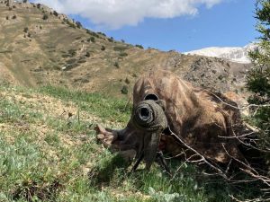 Tunceli'de 'Eren Kış-6 Mercan Dağları Şehit Jandarma Uzman Çavuş Burak Tortumlu Operasyonu'