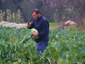 Dairelerini satıp bütün paralarını tarıma yatırdılar
