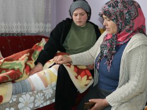 Van'da başıboş köpek dehşeti