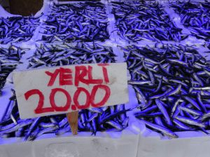 Hamsi avı azalınca ihracatı da düştü