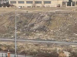 Başkentteki başıboş köpek sürüsü 11 yaşındaki çocuğa saldırdı