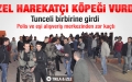 Tunceli'de polis köpeği vurdu ortalık karıştı