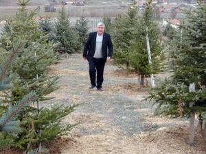 Bozkırı yeşillendiren ‘Oksijen Adam' 300 bin fidanı toprakla buluşturdu