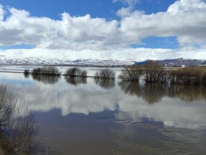 Nehir taştı, Ardahan ovası sular altında kaldı