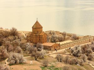 Akdamar Adası çiçek açtı