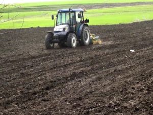 Muş Ovası’nda çiftçiler şeker pancarı ekimi için tarlaya indi